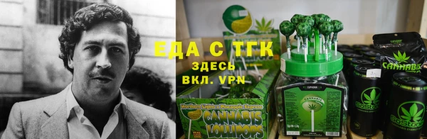 гидра Надым