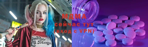 гидра Надым