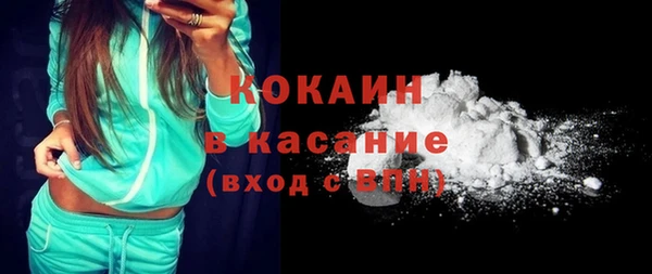 сатива Чегем