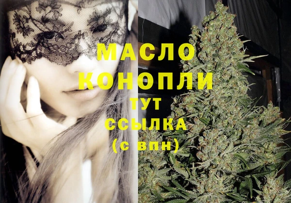 гидра Надым