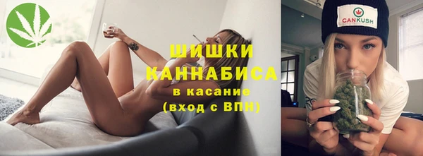 шишки Горнозаводск