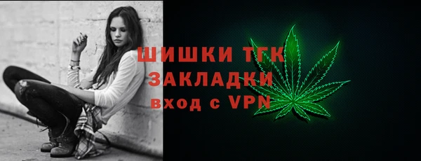 гидра Надым