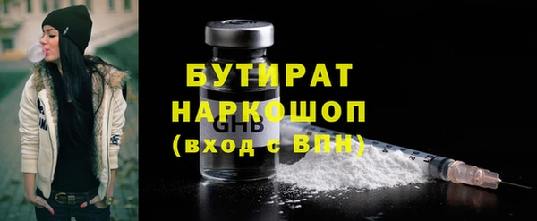 гидра Надым
