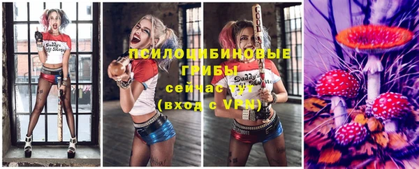 гидра Надым