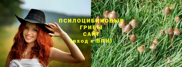 мдпв Наволоки