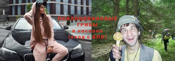 шишки Навашино